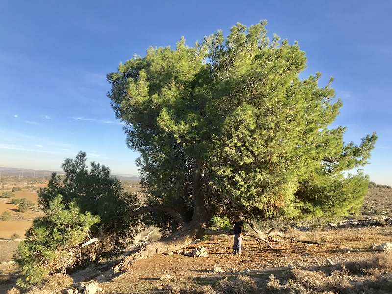 טיול מחבל יתיר והר עמשא אל המעבר לבקעת באר שבע וערד - ממרומי ההר אל הנגב